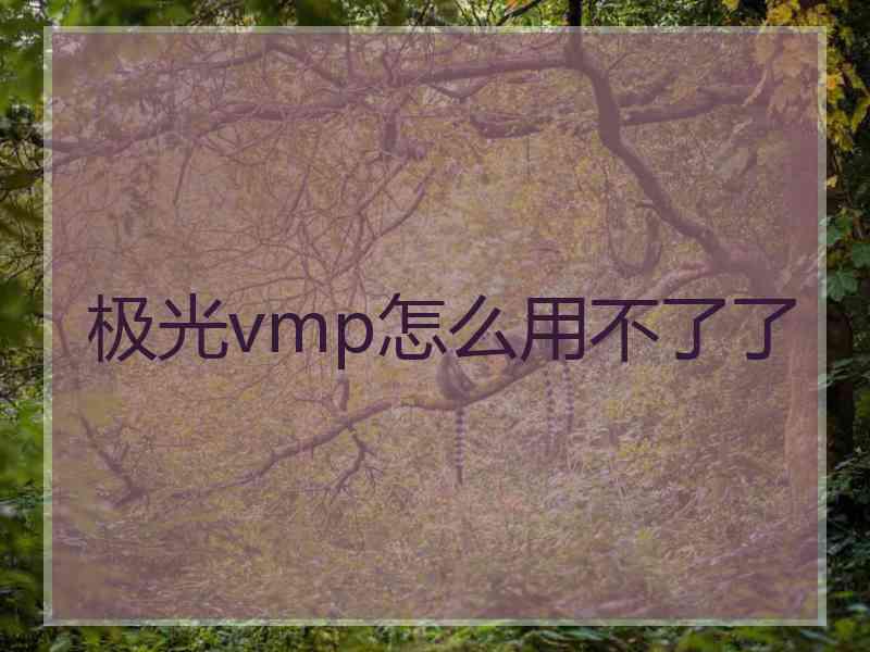 极光vmp怎么用不了了