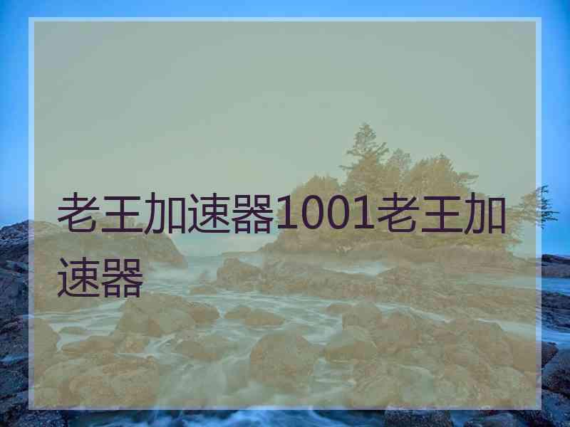 老王加速器1001老王加速器