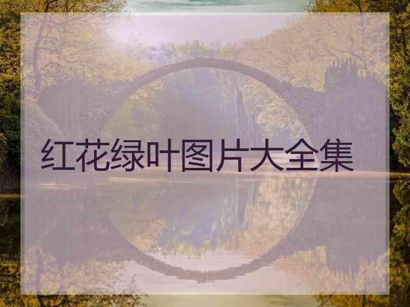 红花绿叶图片大全集