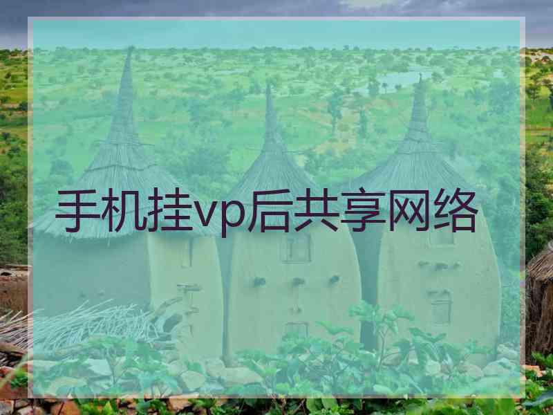 手机挂vp后共享网络