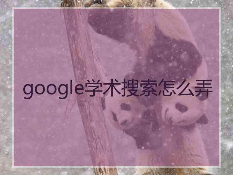 google学术搜索怎么弄