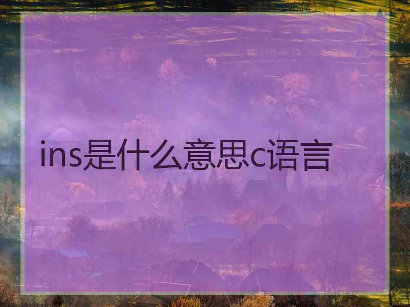 ins是什么意思c语言