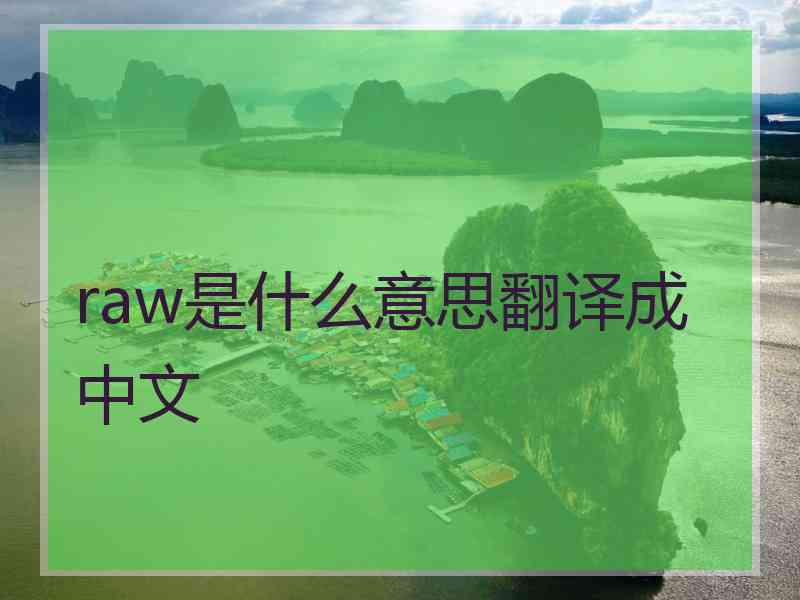 raw是什么意思翻译成中文