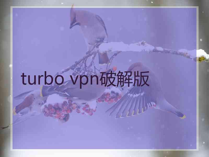 turbo vpn破解版