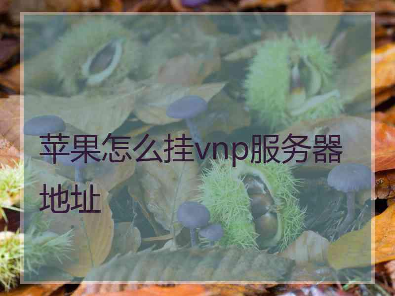 苹果怎么挂vnp服务器地址