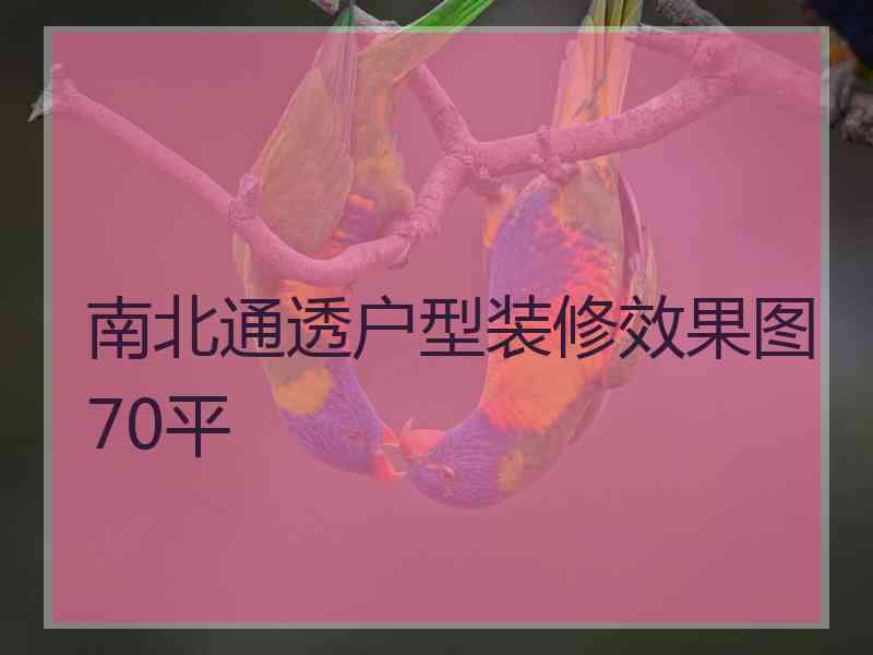 南北通透户型装修效果图70平