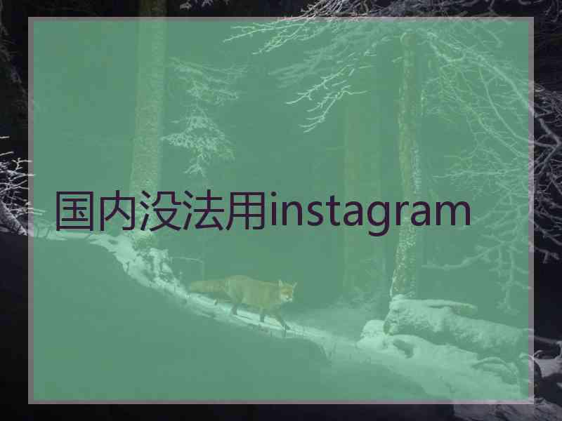 国内没法用instagram