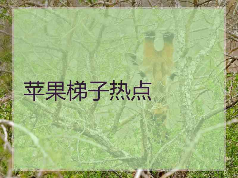 苹果梯子热点