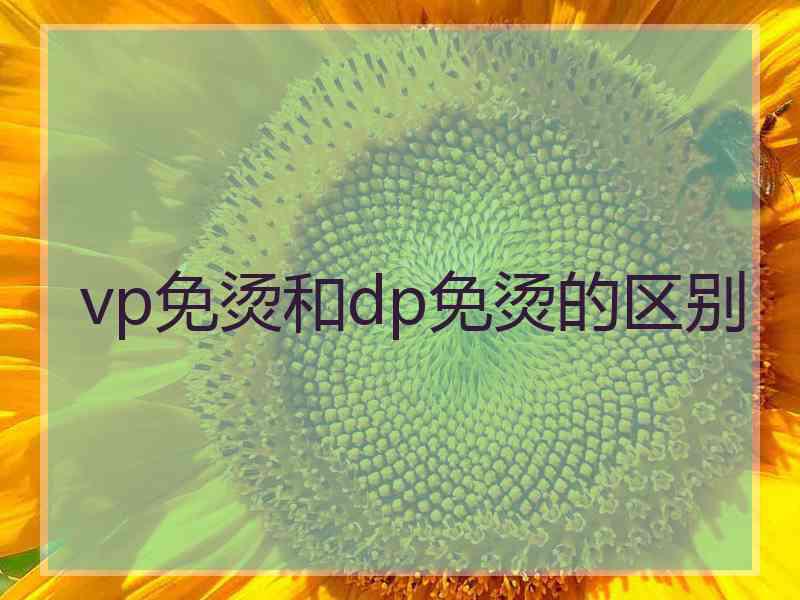 vp免烫和dp免烫的区别