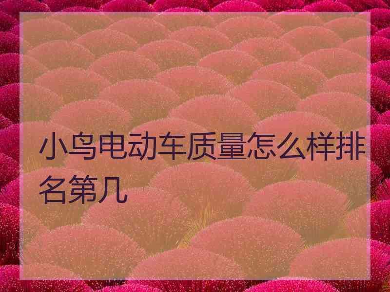 小鸟电动车质量怎么样排名第几