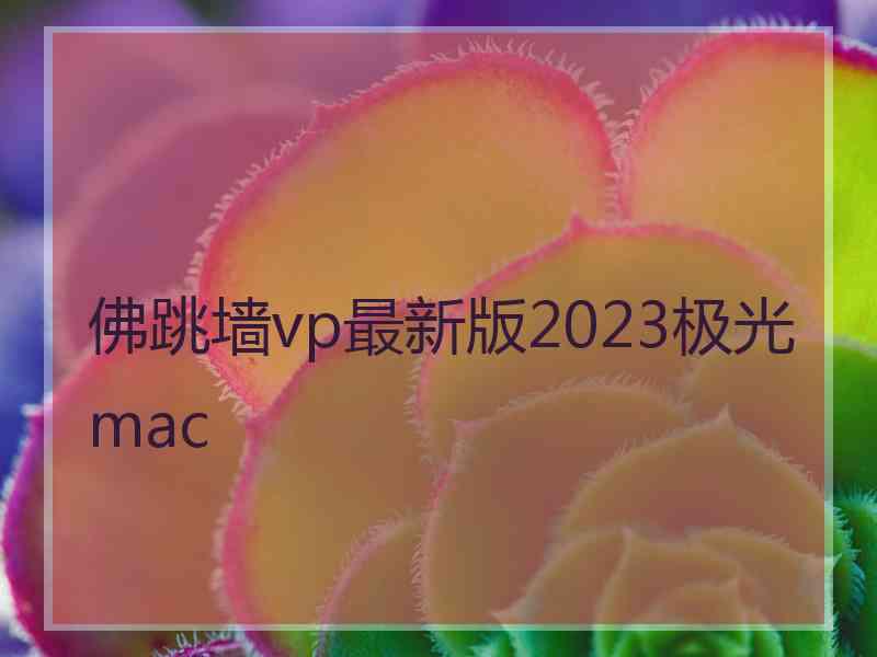 佛跳墙vp最新版2023极光 mac