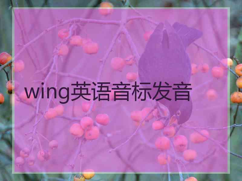 wing英语音标发音