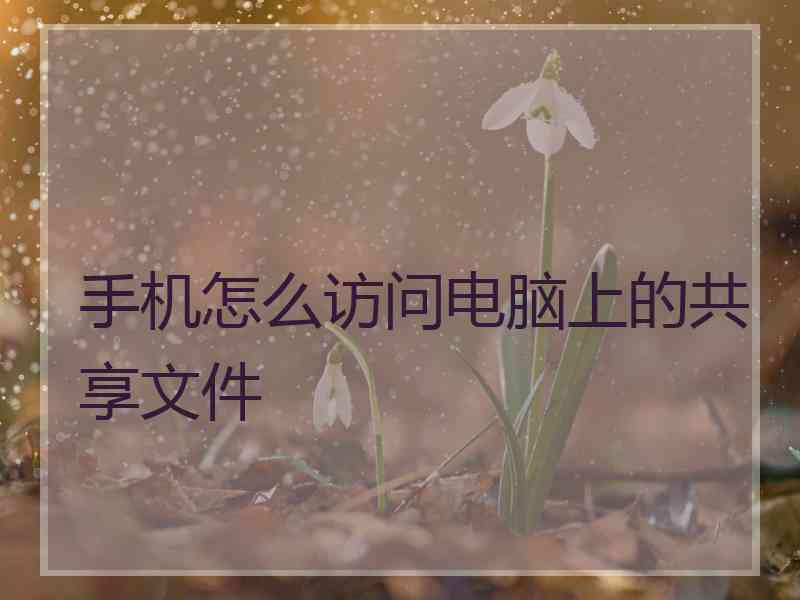 手机怎么访问电脑上的共享文件