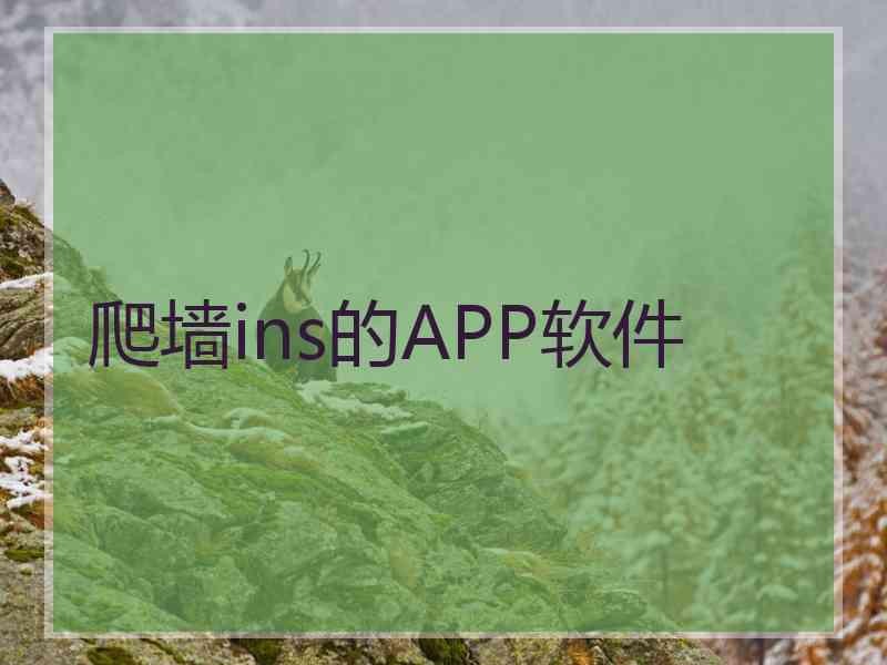 爬墙ins的APP软件