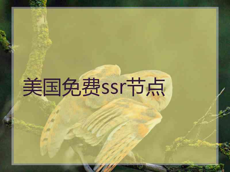 美国免费ssr节点