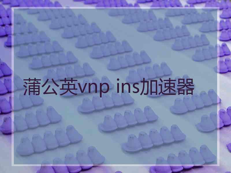 蒲公英vnp ins加速器