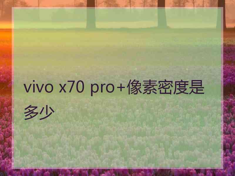 vivo x70 pro+像素密度是多少