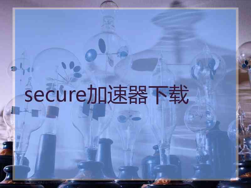 secure加速器下载