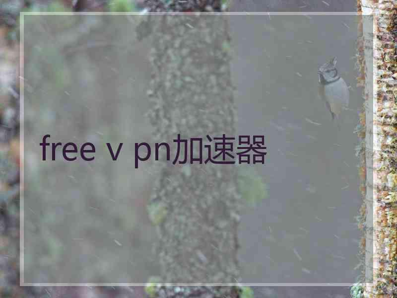 free v pn加速器