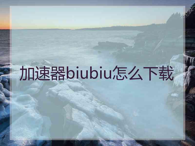 加速器biubiu怎么下载