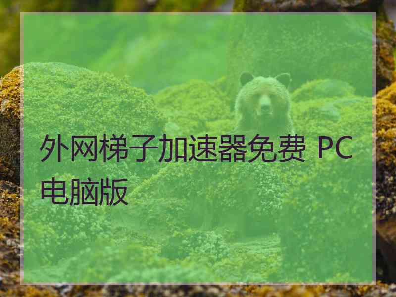 外网梯子加速器免费 PC电脑版