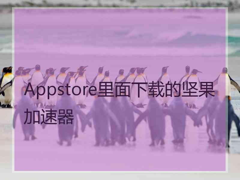 Appstore里面下载的坚果加速器