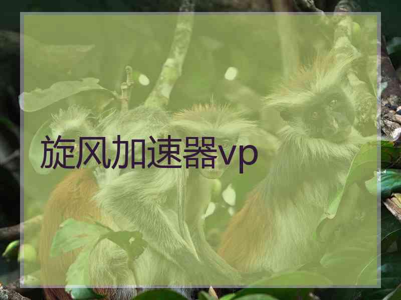 旋风加速器vp