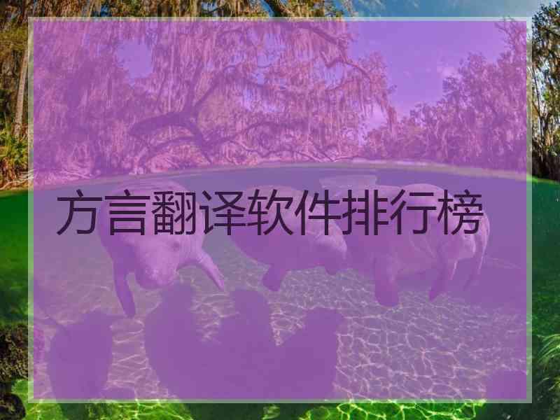 方言翻译软件排行榜