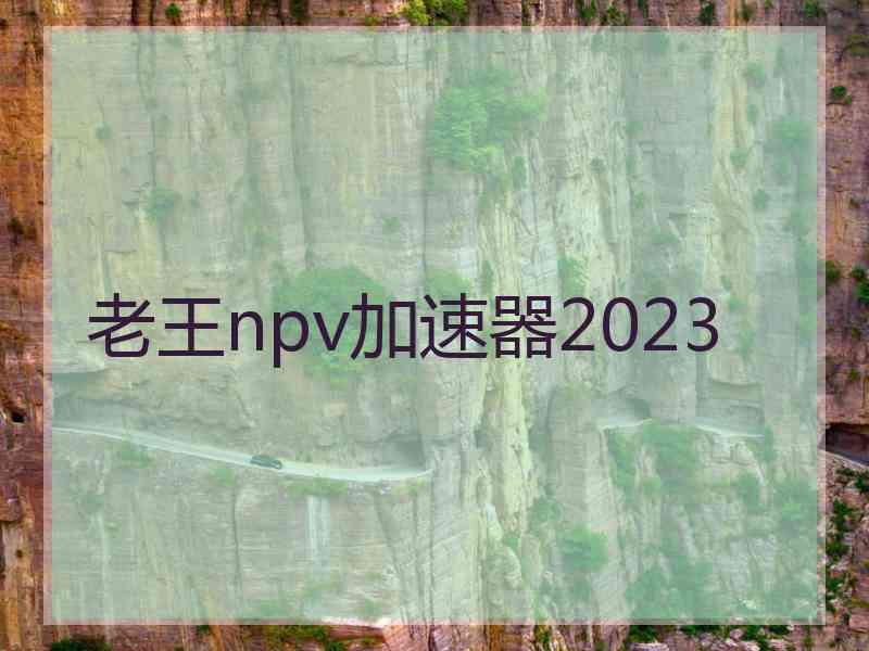 老王npv加速器2023