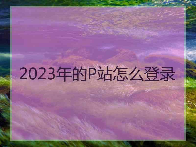 2023年的P站怎么登录