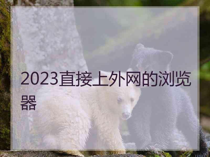 2023直接上外网的浏览器