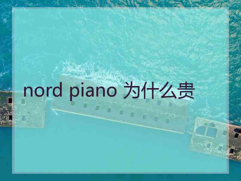 nord piano 为什么贵