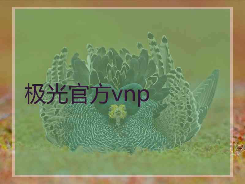 极光官方vnp