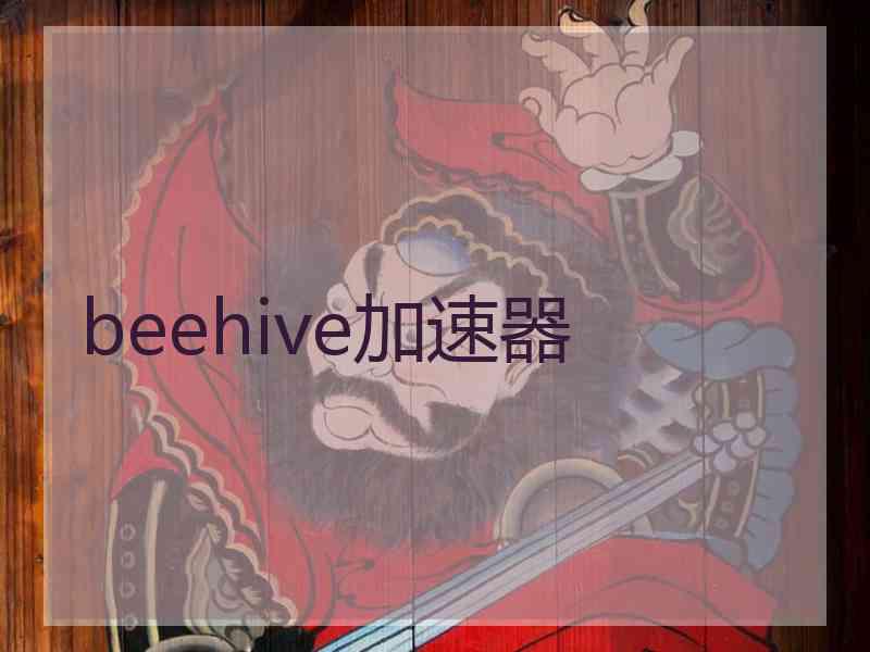 beehive加速器