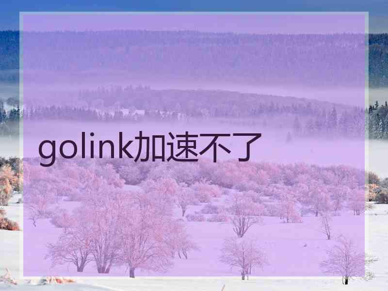 golink加速不了