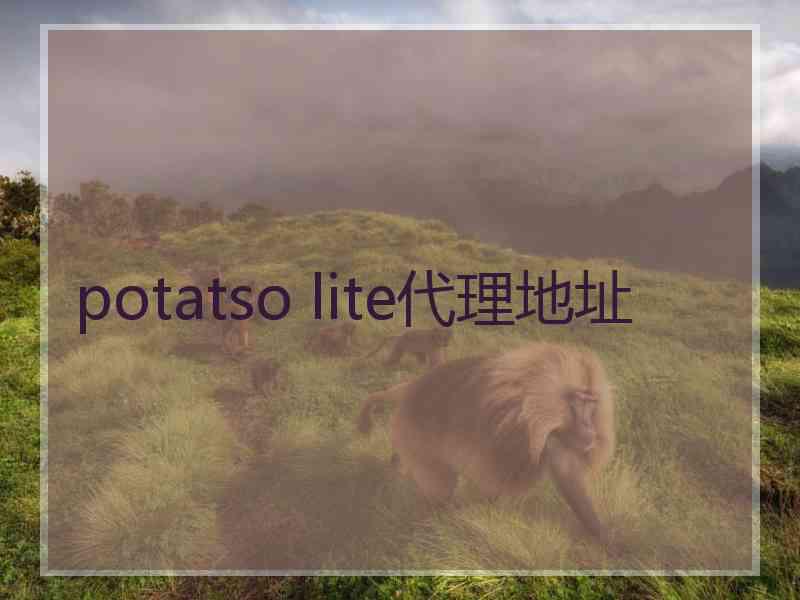 potatso lite代理地址