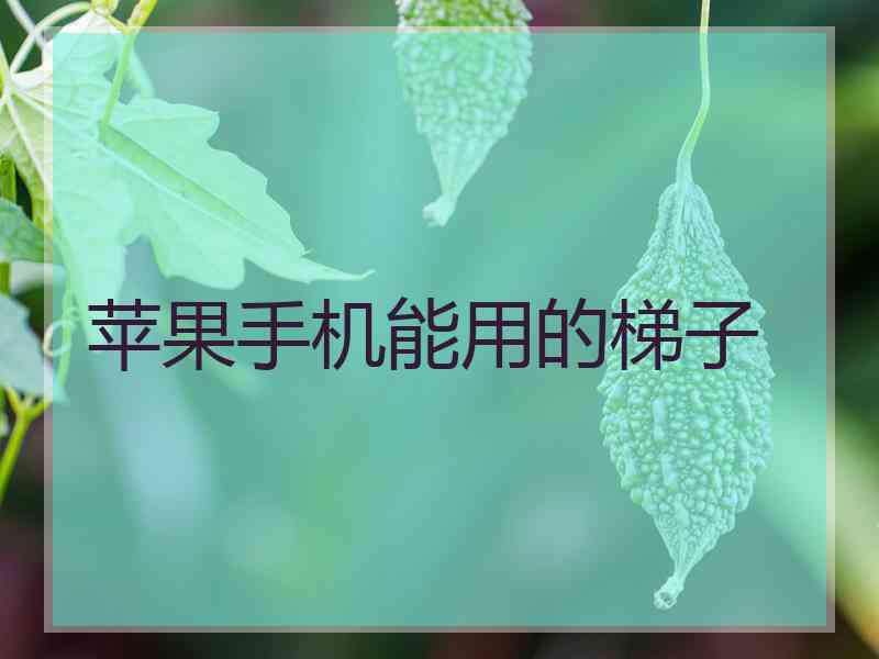 苹果手机能用的梯子