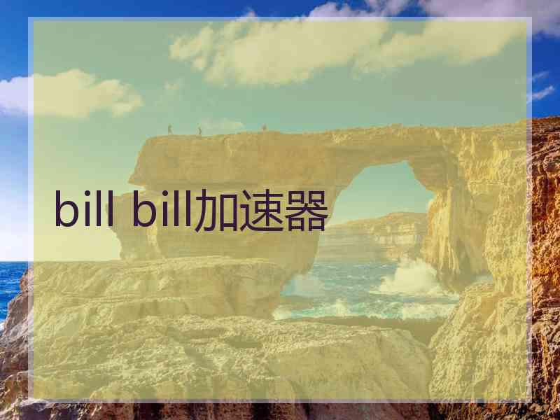 bill bill加速器