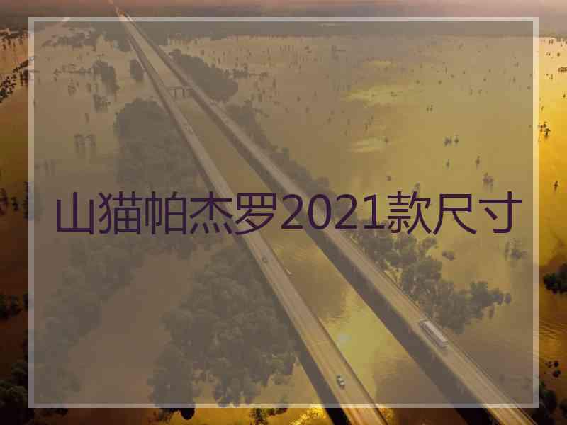 山猫帕杰罗2021款尺寸