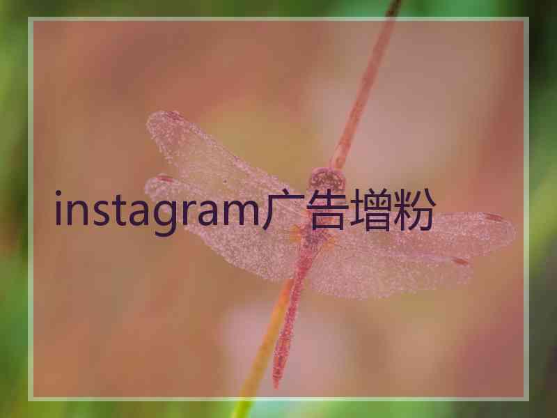 instagram广告增粉