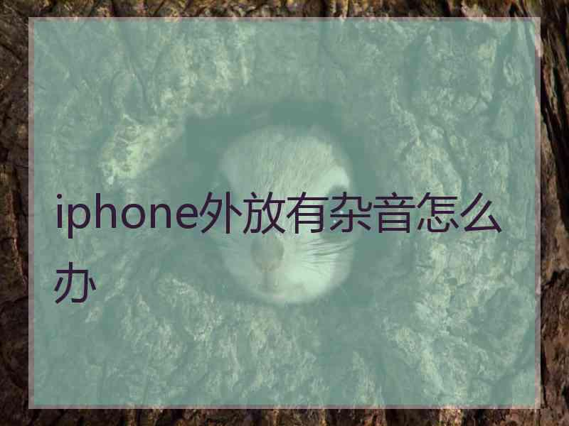 iphone外放有杂音怎么办