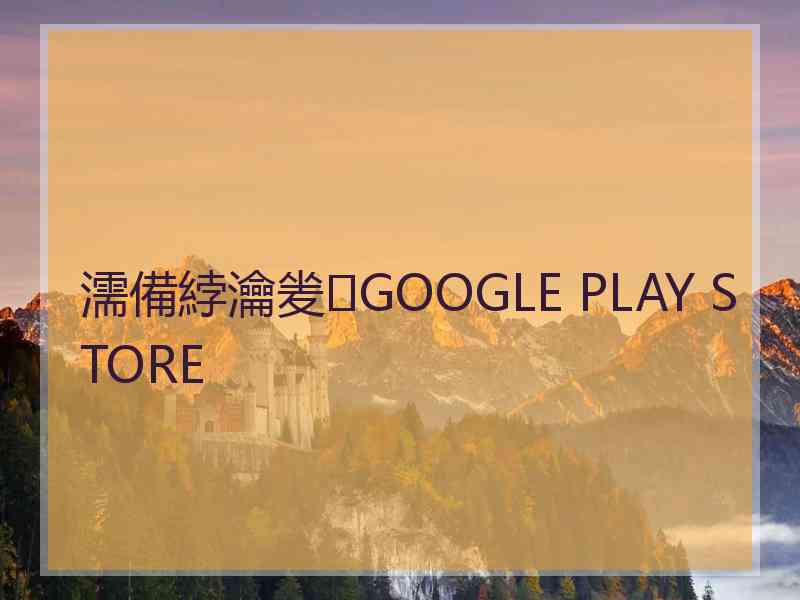 濡備綍瀹夎GOOGLE PLAY STORE