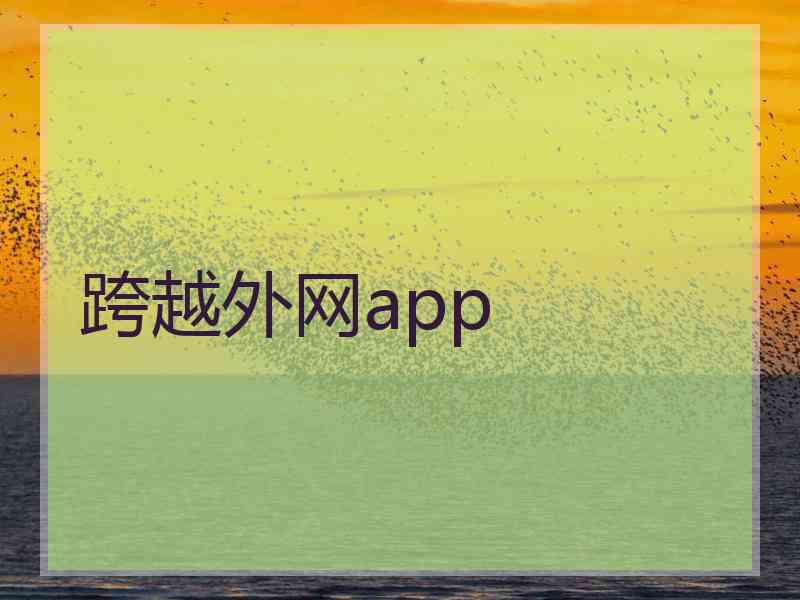 跨越外网app