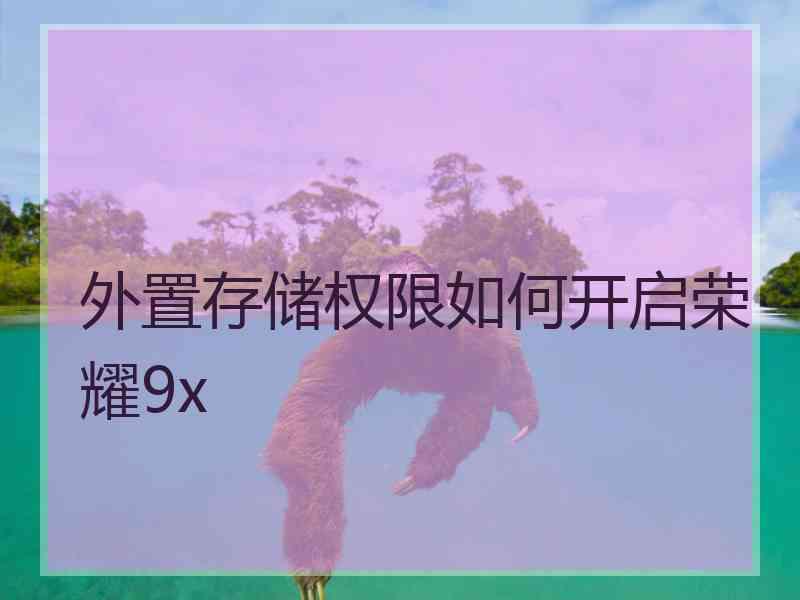 外置存储权限如何开启荣耀9x