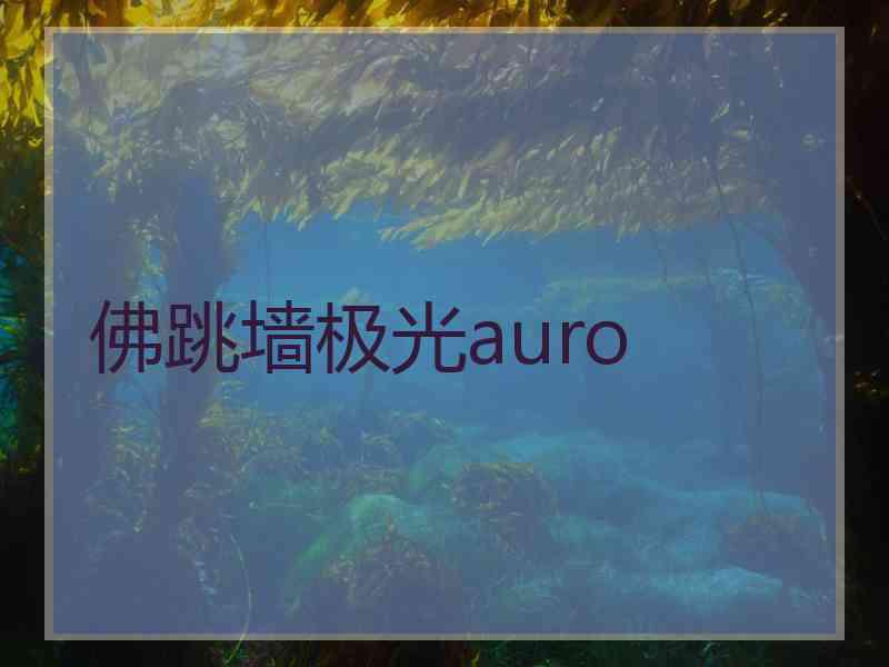 佛跳墙极光auro