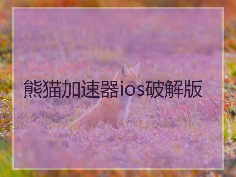 熊猫加速器ios破解版