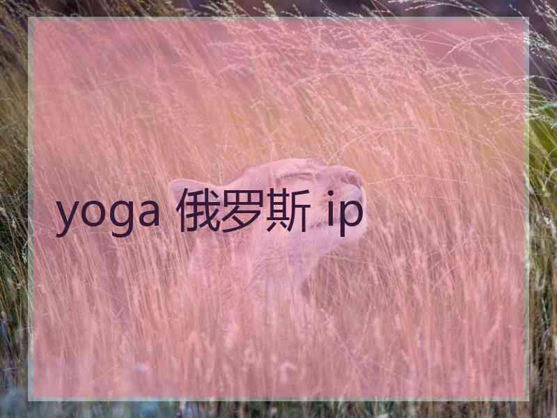 yoga 俄罗斯 ip