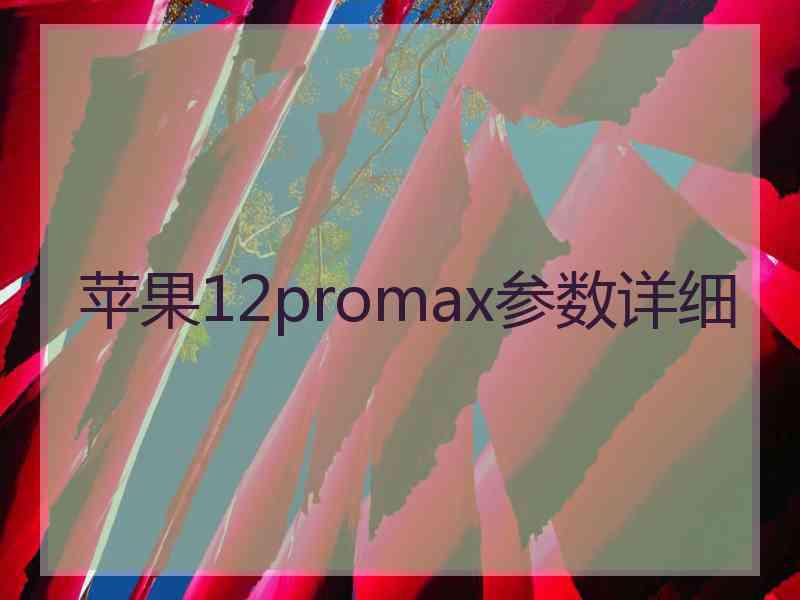 苹果12promax参数详细