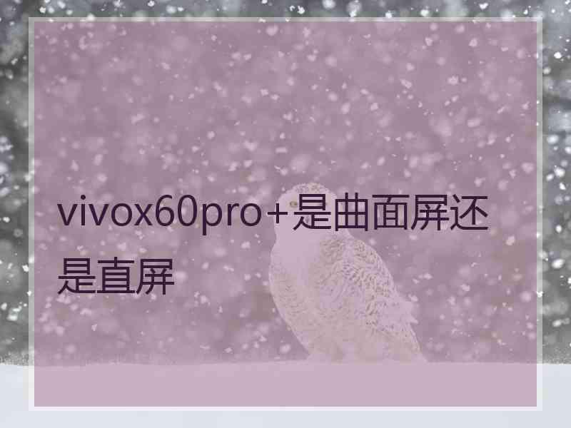 vivox60pro+是曲面屏还是直屏