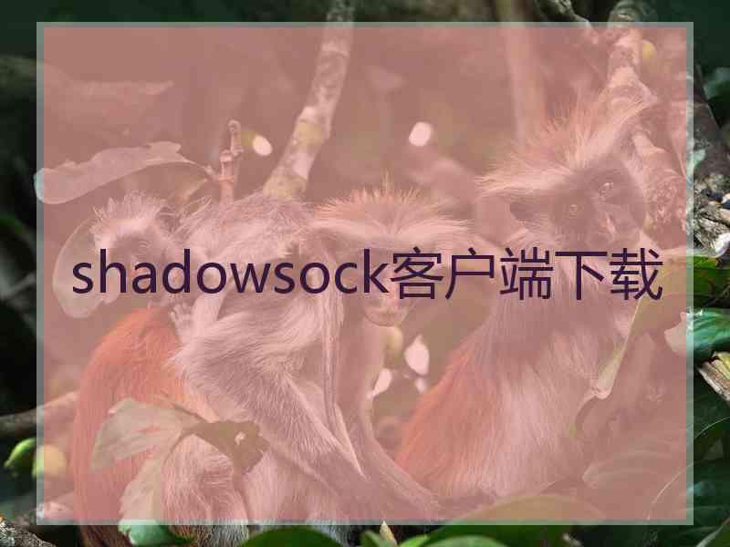 shadowsock客户端下载